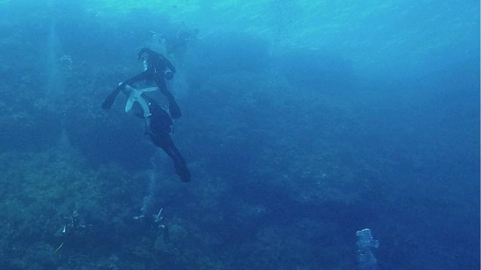 Η σοκαριστική στιγμή που καρχαρίας δαγκώνει το πόδι Γερμανού τουρίστα στην Ερυθρά Θάλασσα (βίντεο)